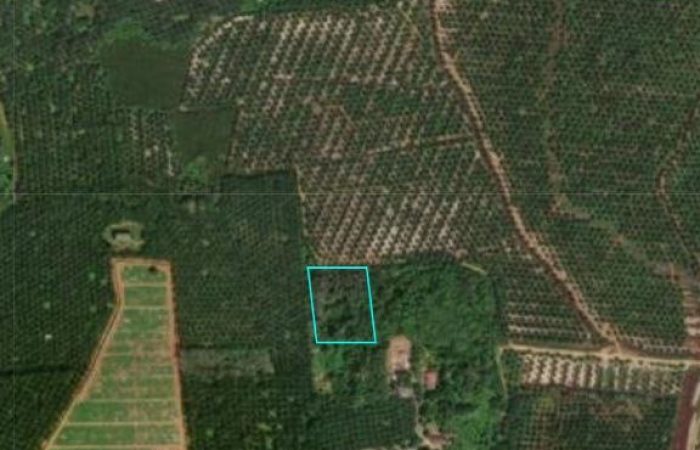 Jual beli tanah port dickson